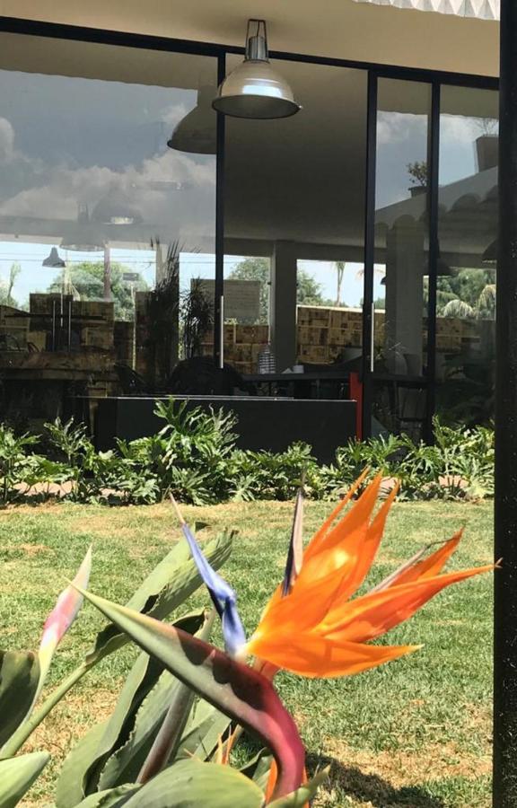 Calido Cosmos Hotel Cholula Eksteriør billede
